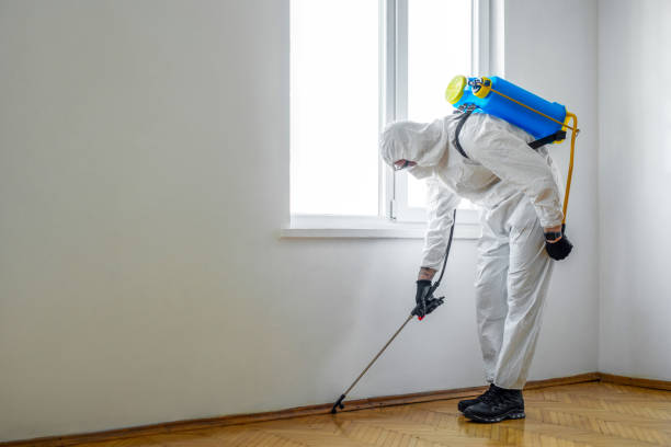 Best Termite Inspection and Treatment  in Gibbsboro, NJ